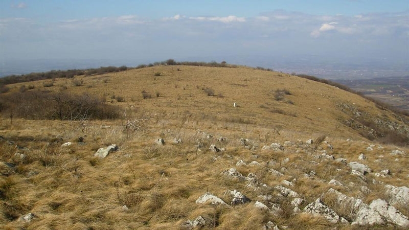 В подножието на връх Връшка чука ще бъде открит паметникв чест на загиналите