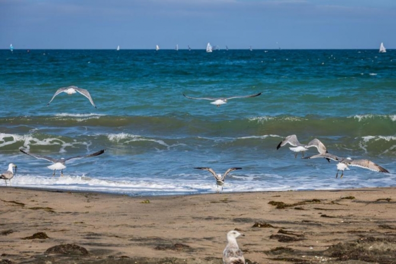 В четвъртък в Районно управление Несебър е получено съобщение за тяло