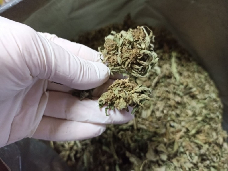 Голямо количество канабис е иззето от колите дома и работата