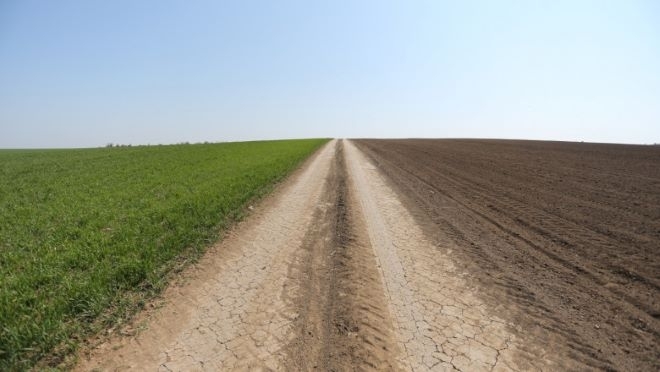 Увеличава се количеството на необработваемата земя у нас Това сочат