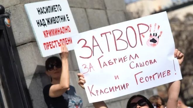 Организират нов протест в защита на животните на 23 март 2025 г