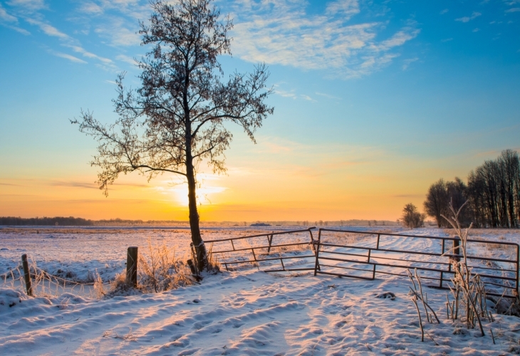 Днес преди обяд ще е слънчево но от запад облачността