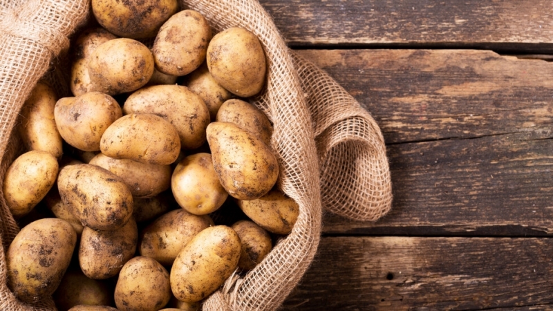 Българските картофи изчезват Освен че няма кой да работи на