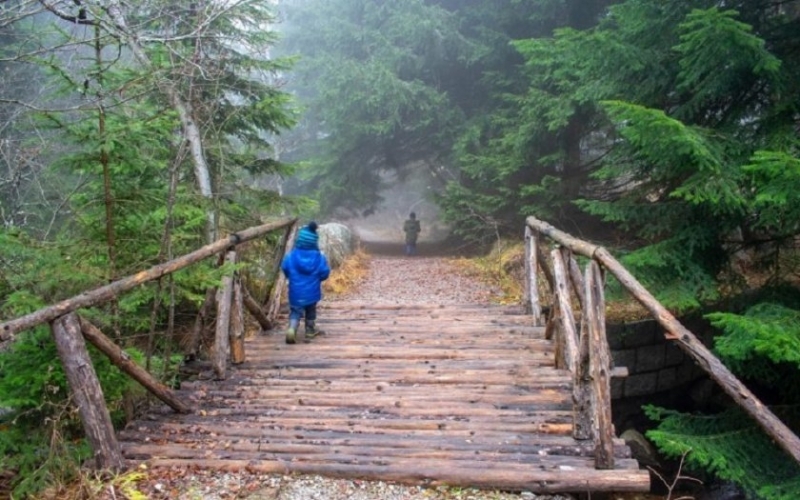 Мост над буйната Боянска река изграден преди месец в природен