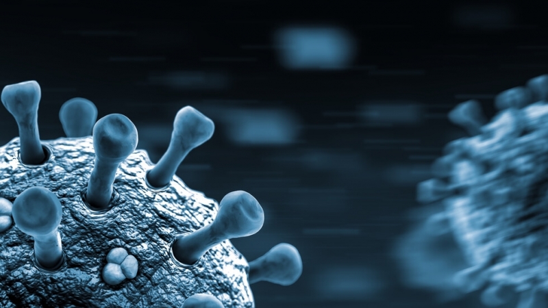 1799 са новозаразените с коронавирус при направени 6233 PCR теста