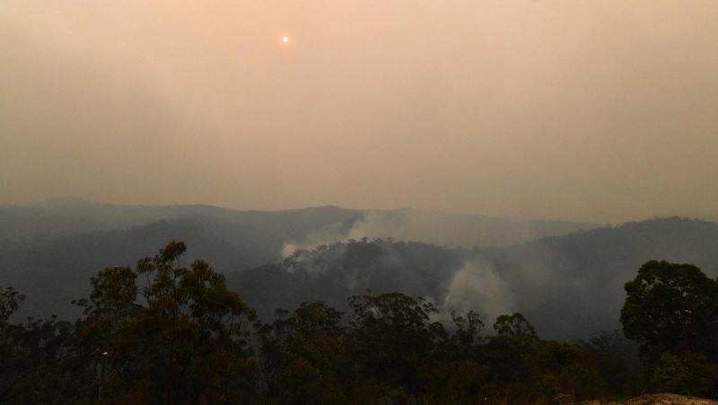 Токсичен облак дим от горските пожари бушуващи в Австралия достигна