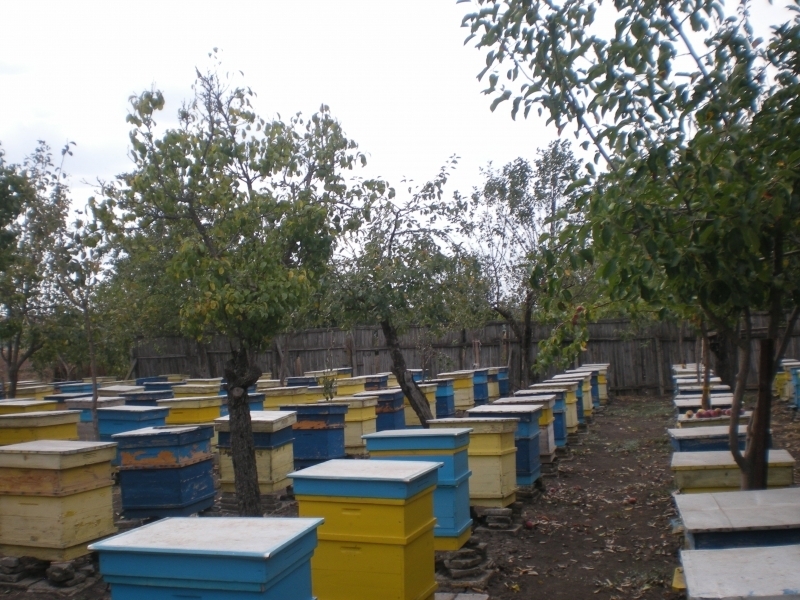 Съгласно разпоредбата на чл 8 ал 2 от Наредба 13 от 26