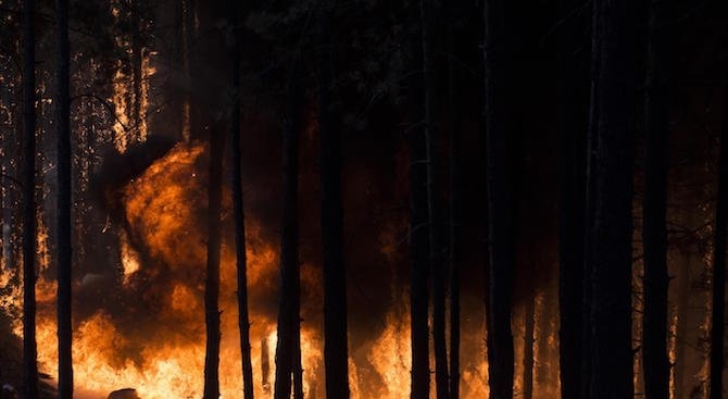 Пожар е избухнал между селата Бистра и Алеково и застрашава