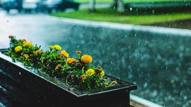 До полунощ явленията ще затихнат и през втората половина на