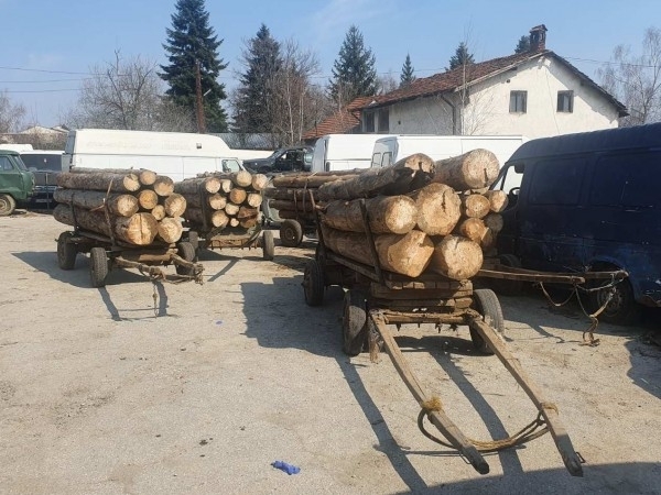 Ченгета заловиха бракониери с дърва в Монтанско съобщиха от МВР