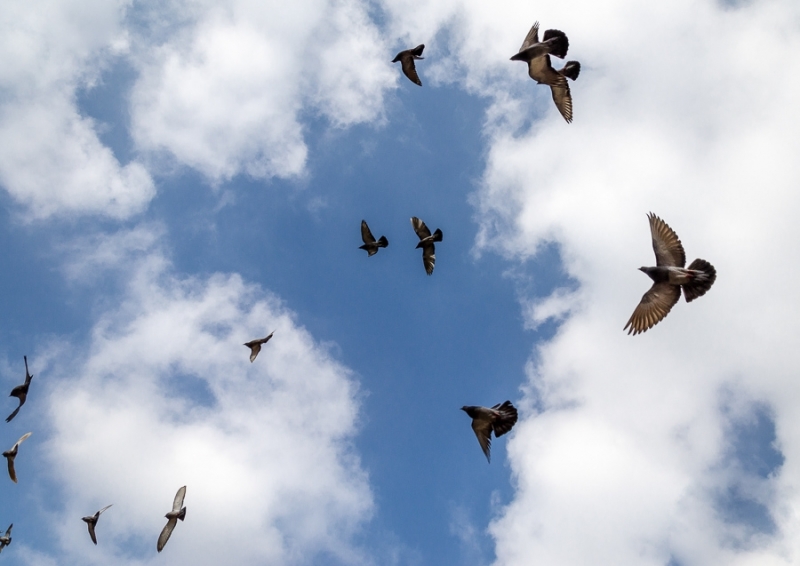 Атмосферното налягане слабо ще се повиши и ще е малко