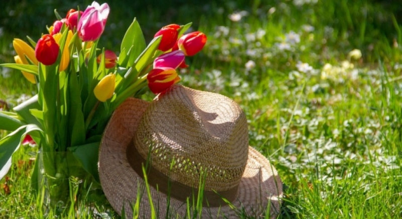 Днес ще бъде предимно слънчево с временни увеличения на облачността