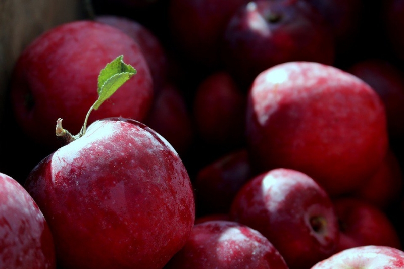Американски учени установиха че химикалите от плодовете се премахват най лесно