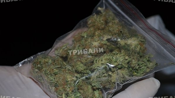 Полицията е намерила канабис в колата на мъж в Козлодуй