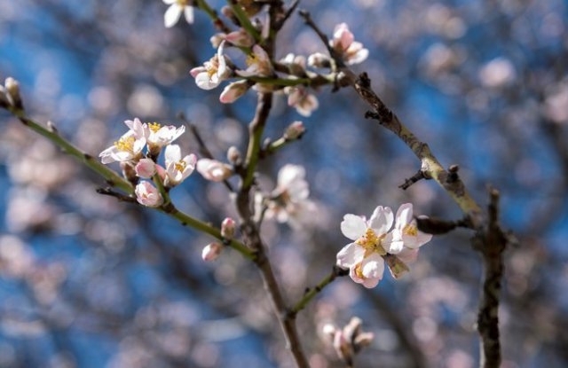 Времето и утре ще е слънчево и топло само на