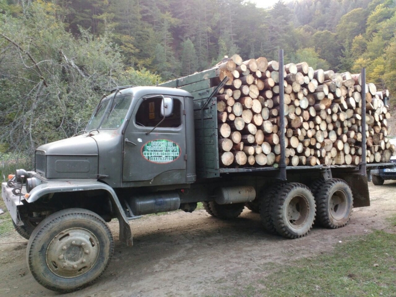 Ченгета спипаха мъж превозвaщ повече дърва от позволеното съобщават от