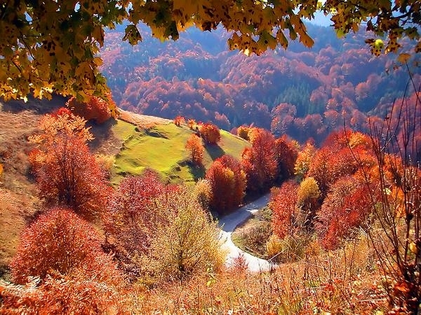 Днес ще преобладава слънчево време След обяд от северозапад ще