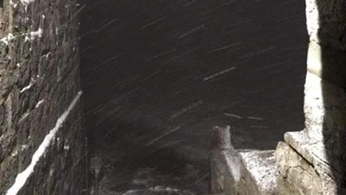 Сняг заваля и на най високия връх във Витоша Черни