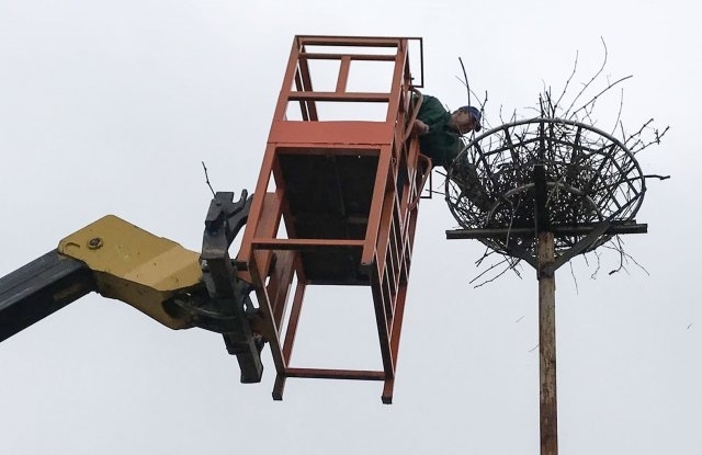 Близо 40 килограма риба разхвърлиха по покрива на училището в