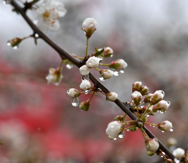 Днес още сутринта валежите ще спрат а облачността ще се
