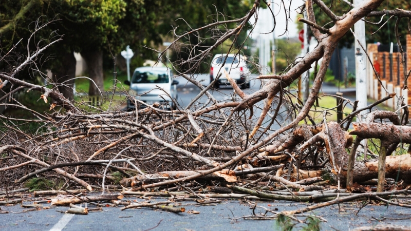 43 годишен мъж от село Градец е пострадал тежко след като