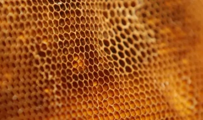 Екип от български учени твърди че е направил невероятното откритие