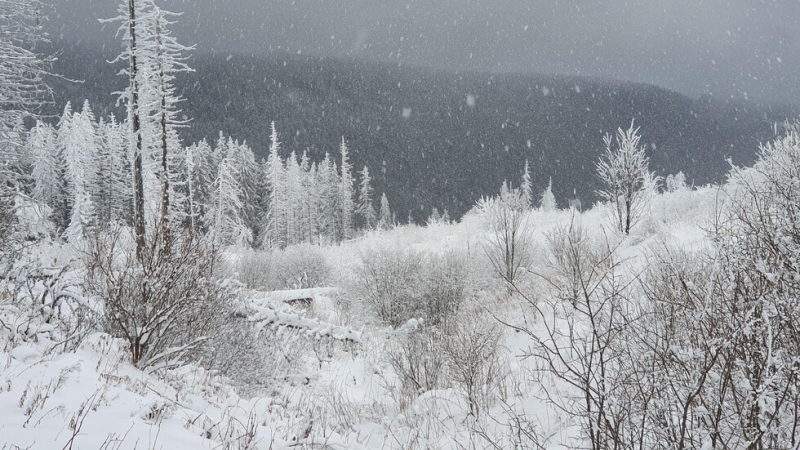 Поради силен снеговалеж и вятър временно е затворен пътят в
