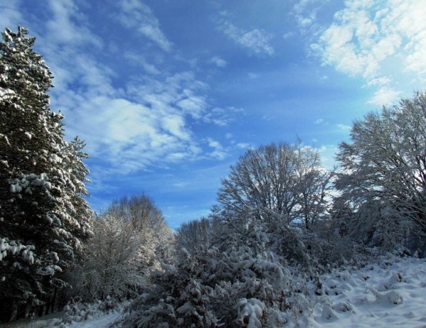 През следващото денонощие със слаб до умерен вятър от запад северозапад