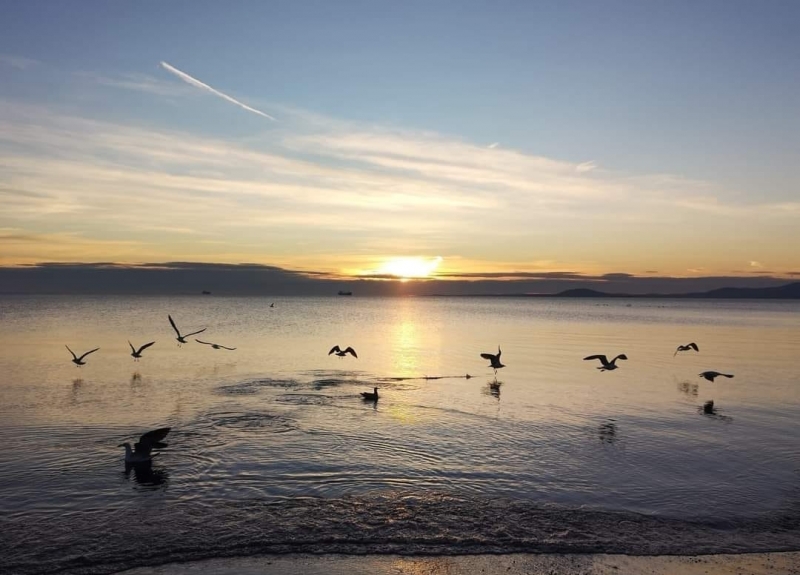 През нощта ще е предимно ясно Вятърът ще отслабне но