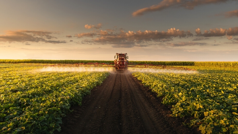 Министерският съвет отпуска 27 5 милиона лева за подпомагане на земеделските