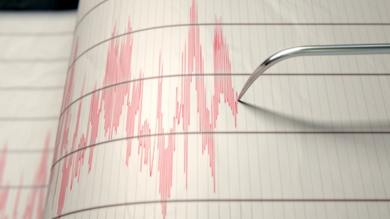 Две силни земетресения станаха в Тихоокеанския регион, близо до Нова