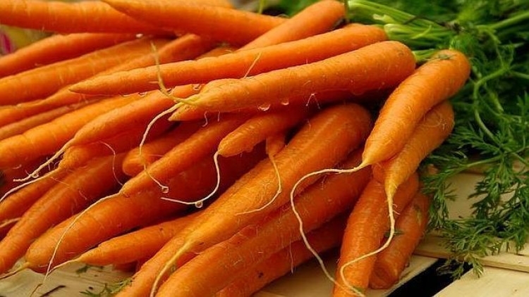 Всеки знае че морковите са полезни за очите Освен това спомагат за