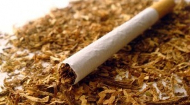 Почти 4 кг нарязан на ситно тютюн без бандерол иззели