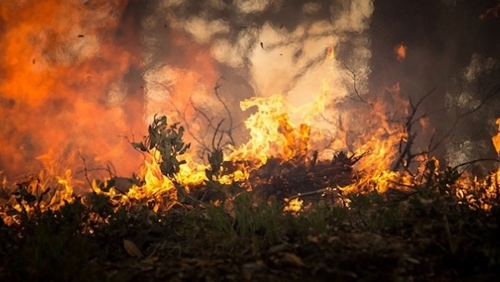 Пожарите които бушуват от миналата сряда в западната част на