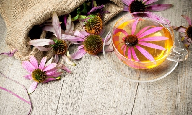 В есенно зимния период силният имунитет е от огромно значение за