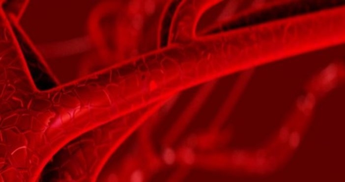 Циркулацията на кръвта осигурява жизненоважната дейност на тялото Благодарение на