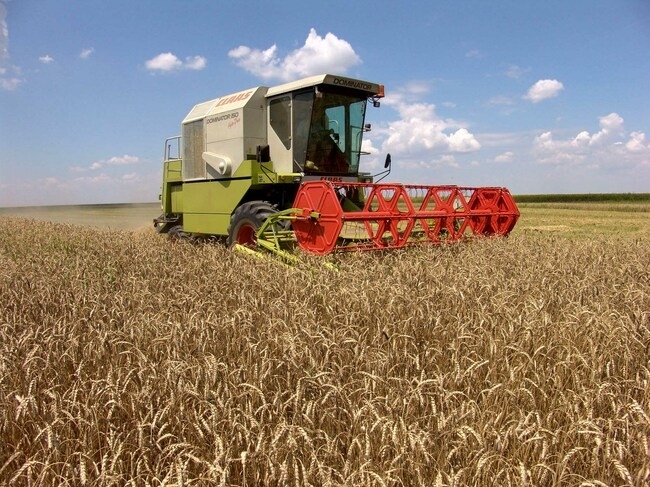 Добивите от пшеница и ечемик в Монтанско са значително по големи