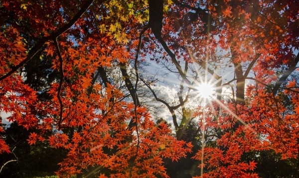 Днес над страната ще преобладава облачно време но ще е