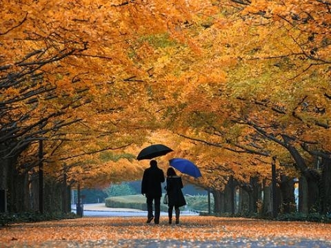 През нощта ще е облачно Валежите ще обхванат и Източна