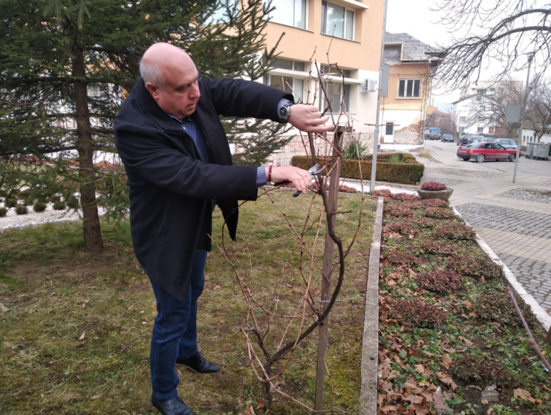 Във Вършец спазиха традицията и почетоха Трифон Зарезан Заради ограничителните