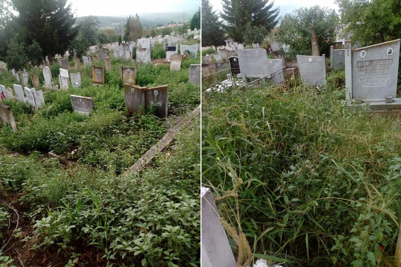 Кметът на Мездра Иван Аспарухов отговори на сигнал за състоянието