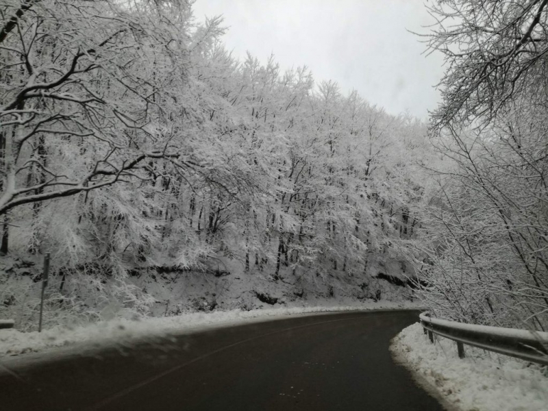 І МЕТЕОРОЛОГИЧНА ОБСТАНОВКА Температурите са в интервала от 10 deg