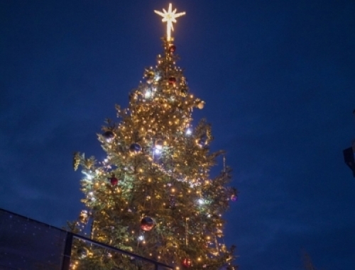 Община Оряхово обяви програмата с която ще бъдат отбелязани Коледните