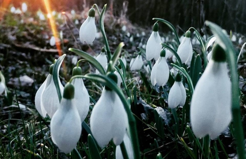 Днес над по голямата част от страната ще се задържи предимно