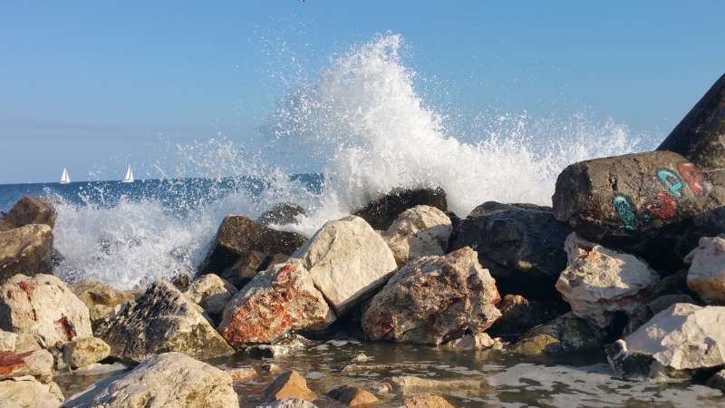 Днес преди обяд над североизточната половина ще бъде предимно слънчево