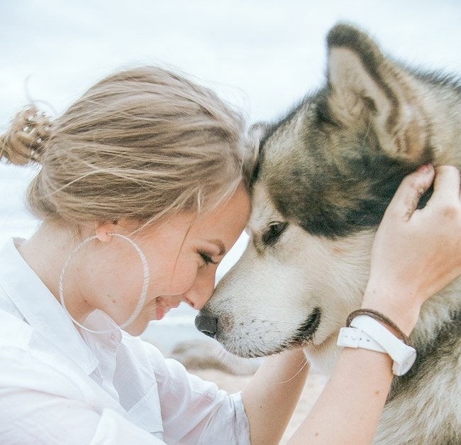 Днес ви запознаваме с 20 любопитни факта които всички любители