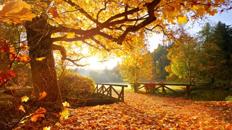 В петък осъмваме с температури между 4 и 9 градуса