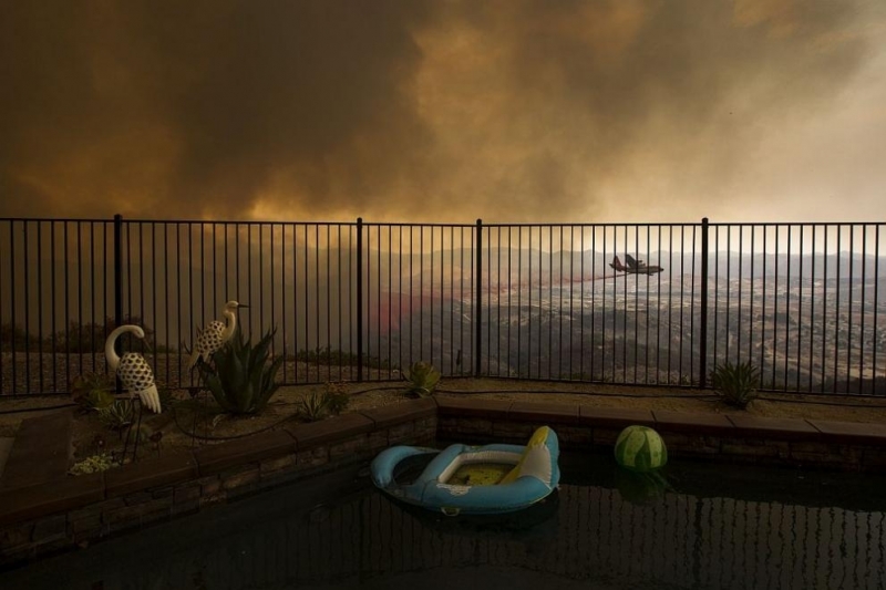 Разследващи от Агенцията на САЩ за горите стигнаха до извода