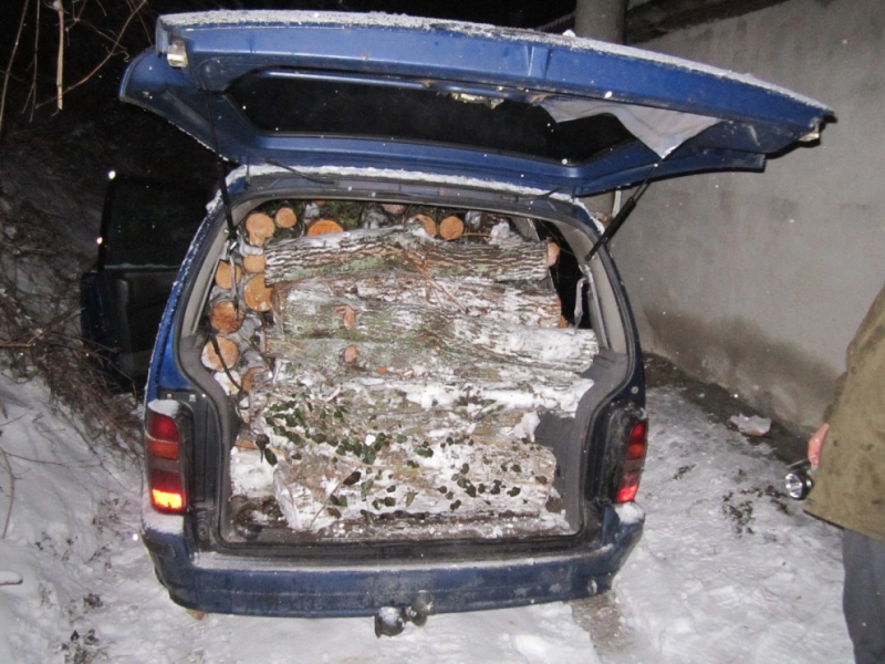 Полицията е заловила двама бракониери на дърва при акция във