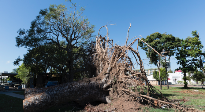 Циклонът Тревър връхлетя днес Северна Австралия Очаква се поривите на